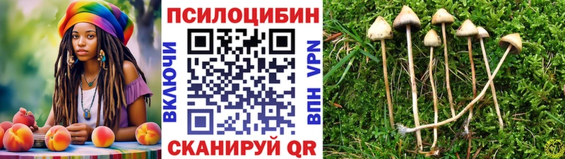 Купить где  Вуктыл  Галлюциногенные грибы мицелий 